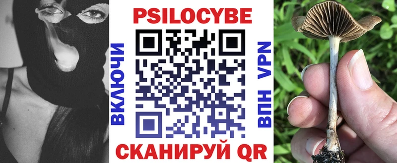 сколько стоит  Зеленодольск  Псилоцибиновые грибы прущие грибы 
